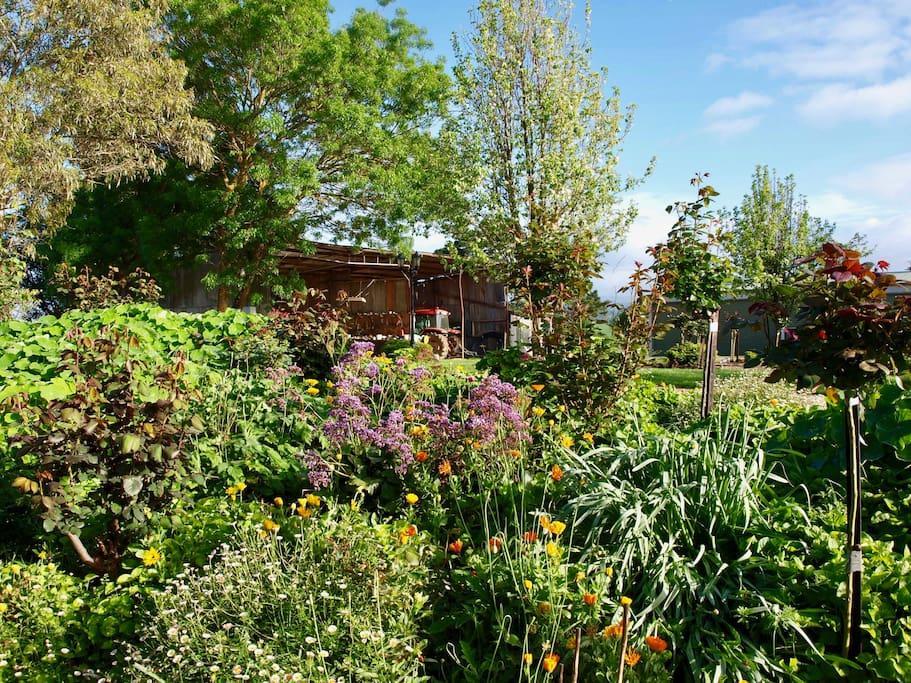 Manderley Park Farmstay B&B Buln Buln Екстер'єр фото